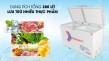 Lựa chọn tủ đông lạnh công nghiệp – tưởng dễ mà khó